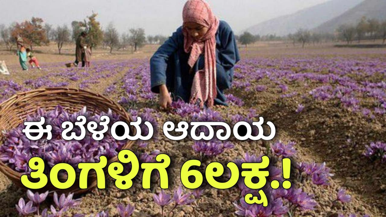 WhatsApp Image 2025 11 12 at 3.07.59 PM