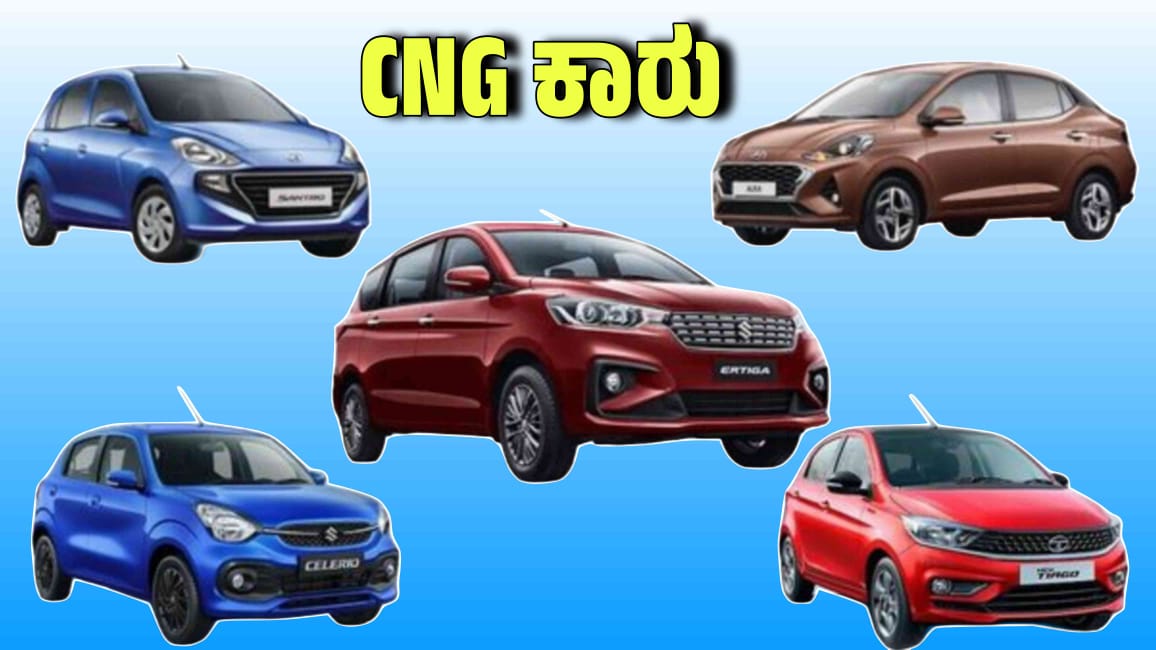 WhatsApp Image 2025 11 12 at 4.51.12 PM