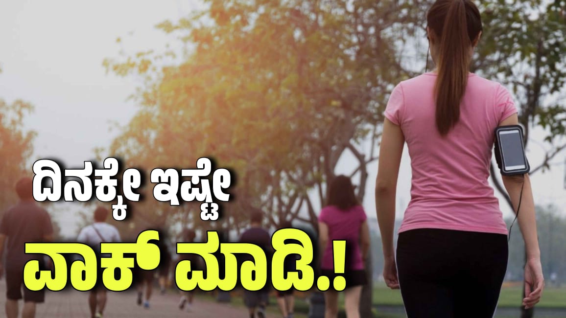 WhatsApp Image 2025 11 12 at 4.57.53 PM