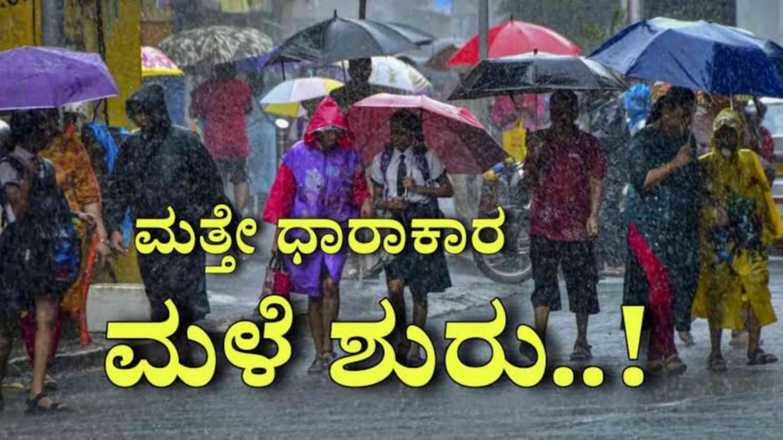 WhatsApp Image 2025 11 13 at 1.07.09 PM