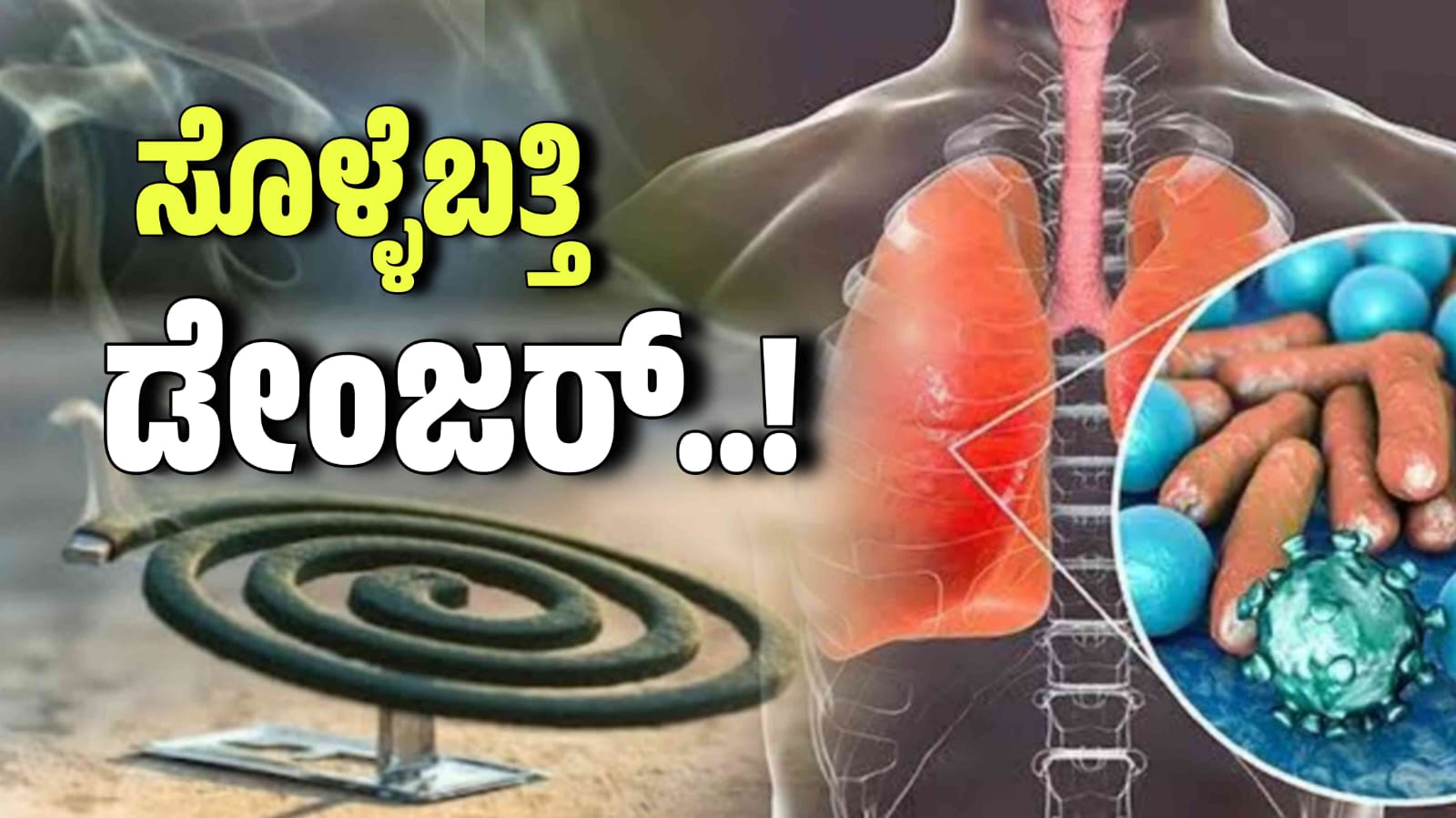 WhatsApp Image 2025 11 13 at 1.27.28 PM