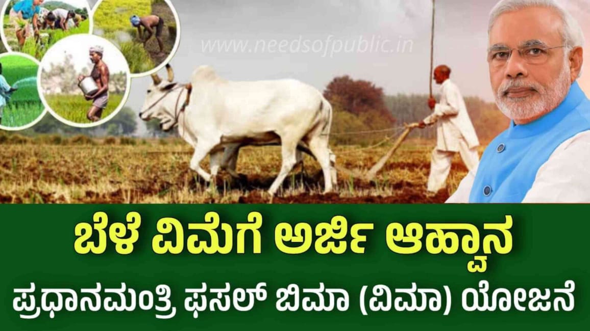 WhatsApp Image 2025 11 13 at 6.42.21 PM