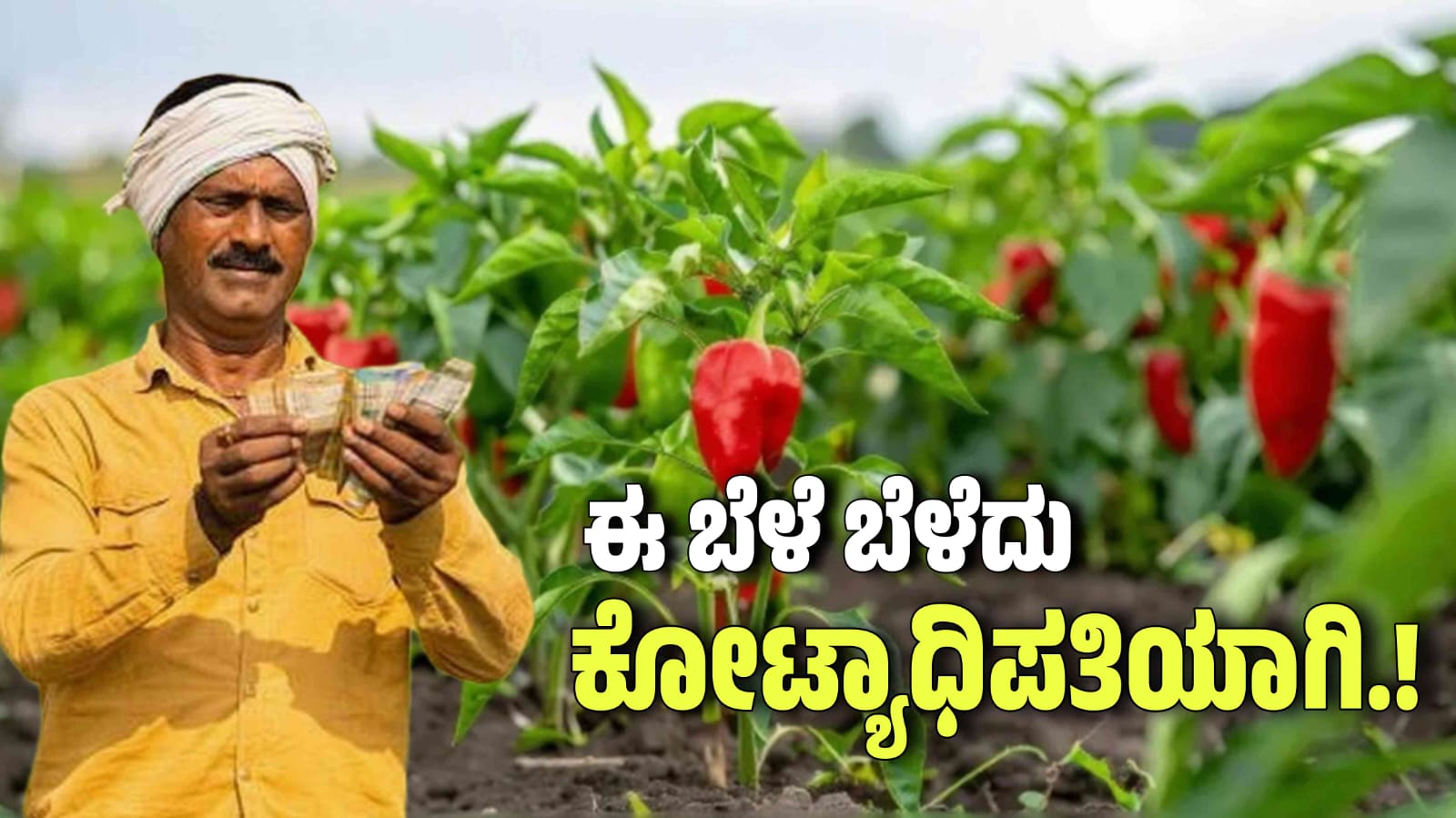 WhatsApp Image 2025 11 14 at 12.13.20 PM