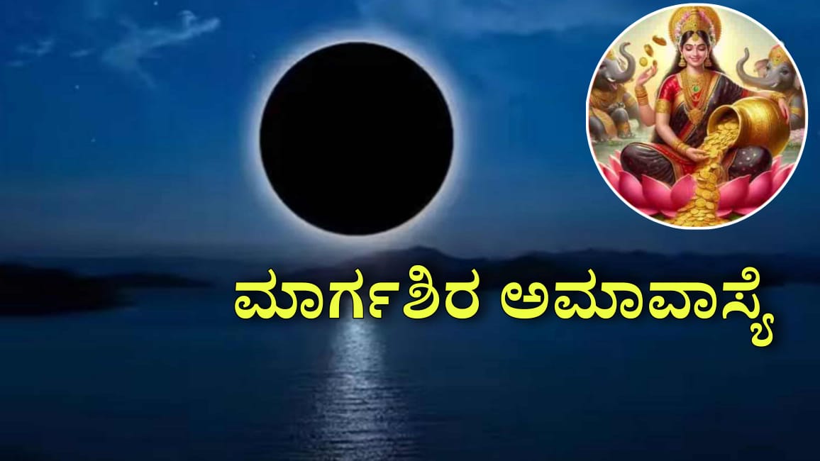 WhatsApp Image 2025 11 14 at 3.22.15 PM