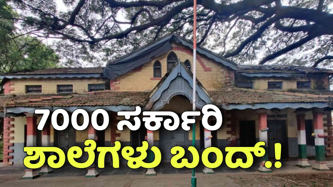 WhatsApp Image 2025 11 14 at 4.11.41 PM