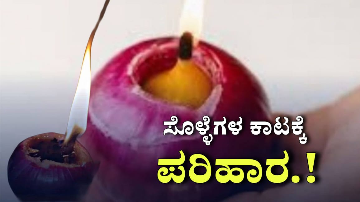 WhatsApp Image 2025 11 15 at 3.14.25 PM