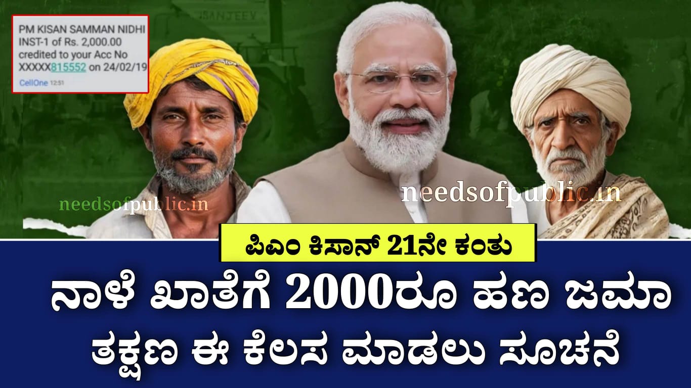 WhatsApp Image 2025 11 18 at 12.12.33 PM