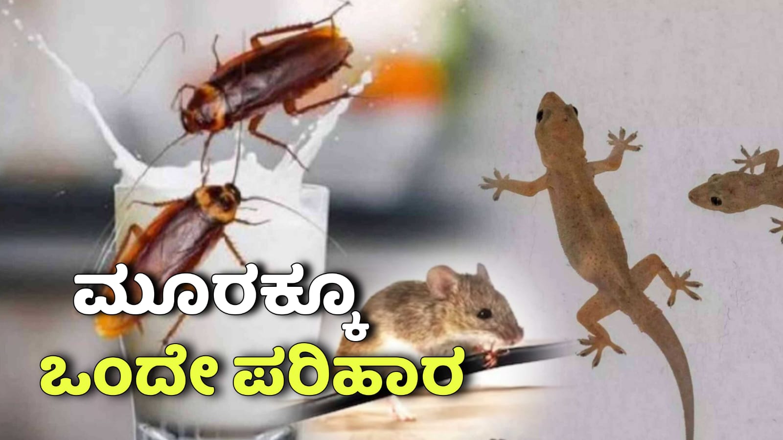 WhatsApp Image 2025 11 18 at 5.14.05 PM