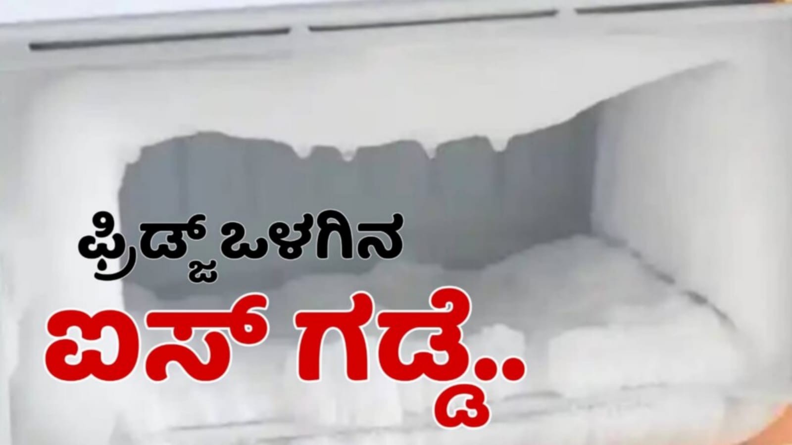 WhatsApp Image 2025 11 18 at 8.21.07 PM