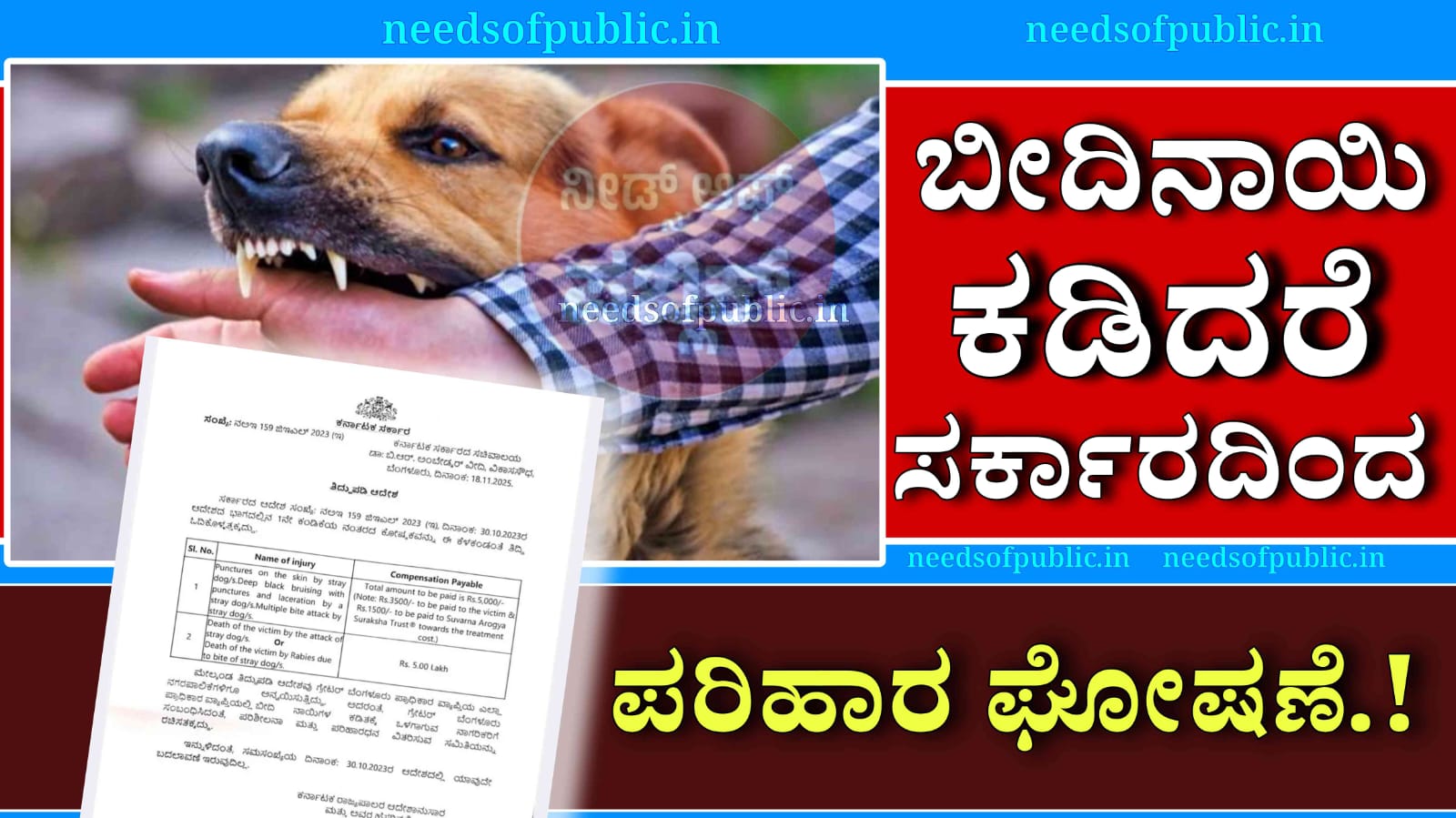 WhatsApp Image 2025 11 19 at 6.00.23 PM