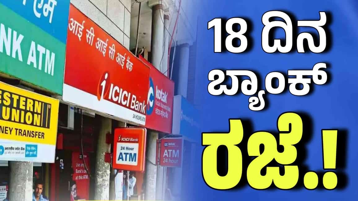 WhatsApp Image 2025 11 26 at 3.10.02 PM