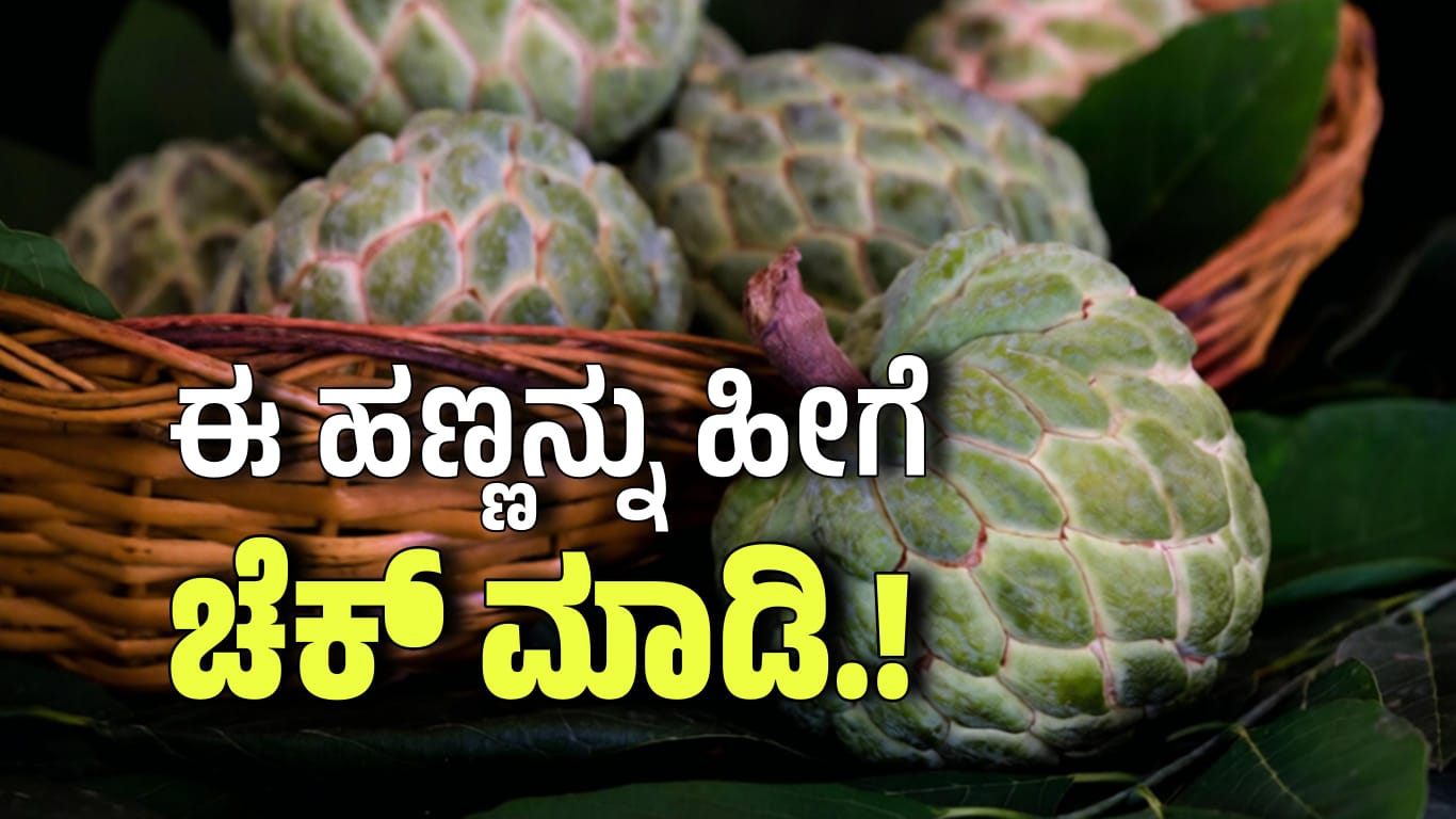 WhatsApp Image 2025 11 26 at 6.23.18 PM