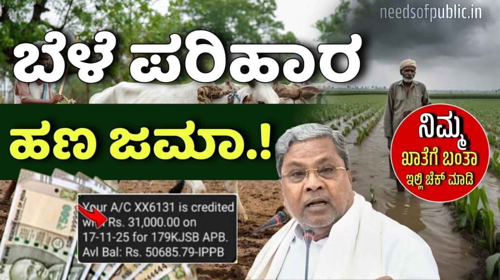 WhatsApp Image 2025 11 27 at 2.06.32 PM