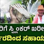 WhatsApp Image 2025 11 28 at 1.29.59 PM