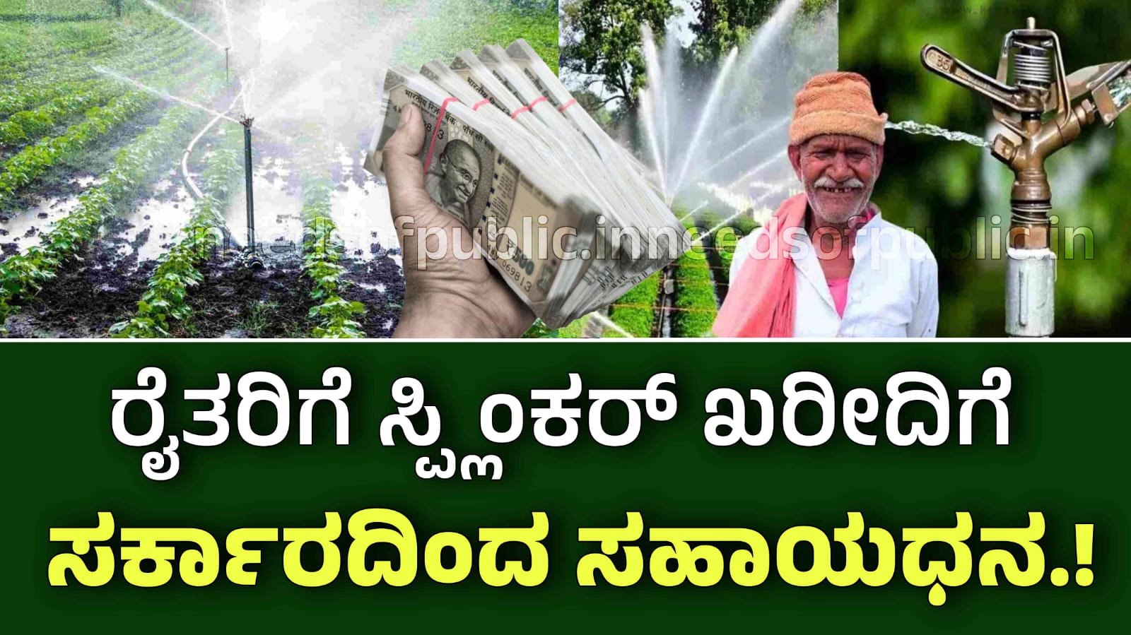 WhatsApp Image 2025 11 28 at 1.29.59 PM