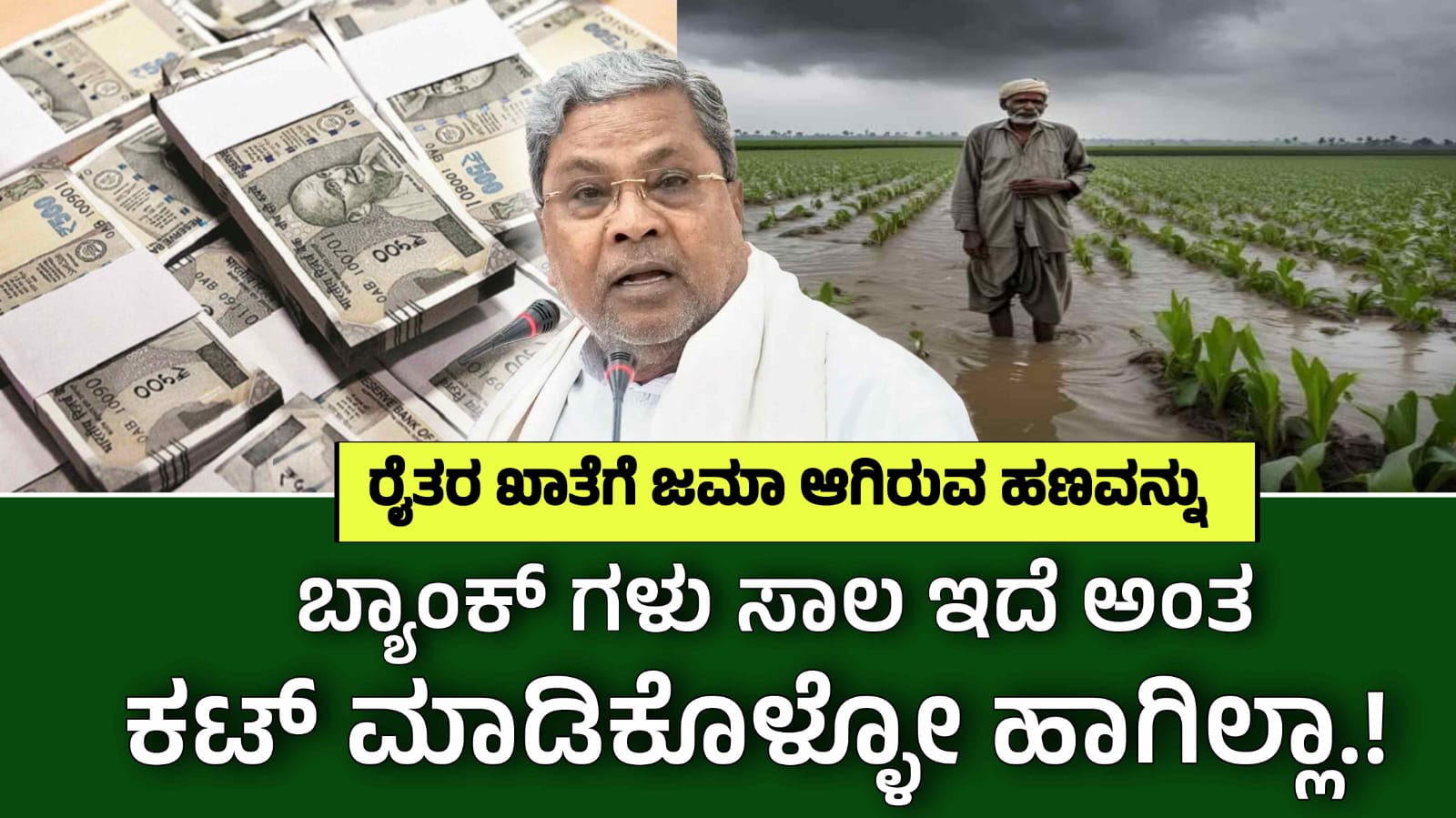 WhatsApp Image 2025 11 29 at 1.03.32 PM