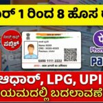 new rules from december 1 1