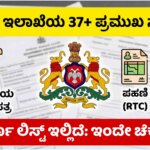 revenue department services