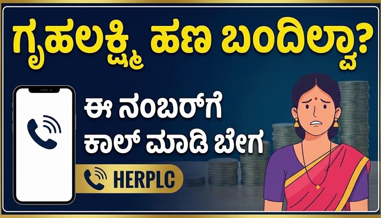 1767000801 06e35267 optimized 300