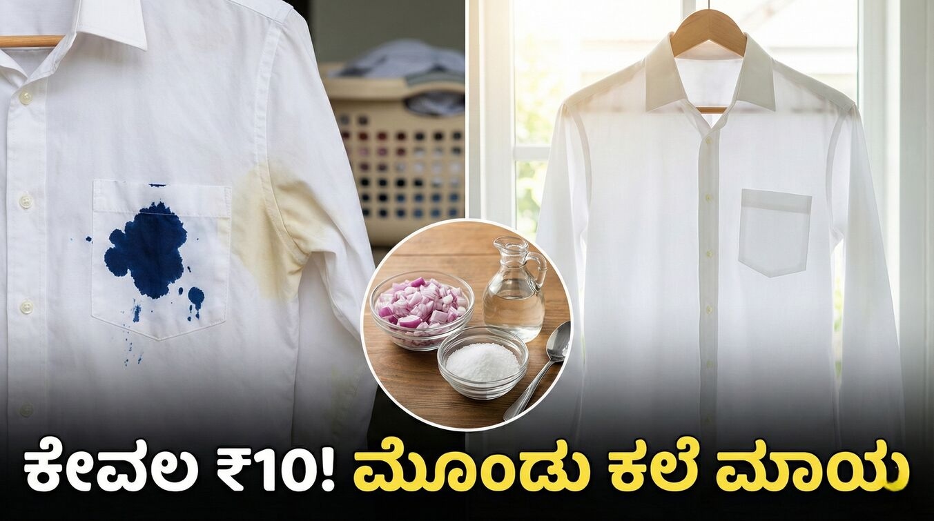 3da6450b 414e 4031 a830 040af0c4e8fd 1766909031 optimized 300