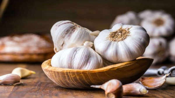 Garlic images