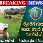 Picsart 25 11 30 23 53 24 763