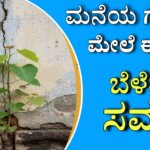 WhatsApp Image 2025 12 01 at 1.33.07 PM