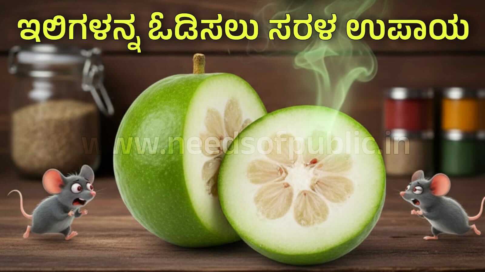 WhatsApp Image 2025 12 01 at 5.05.16 PM