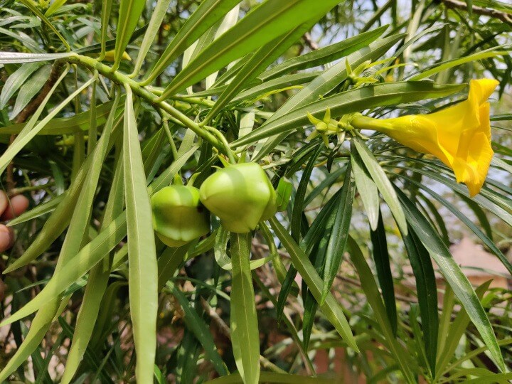 WhatsApp Image 2025 12 01 at 5.08.33 PM