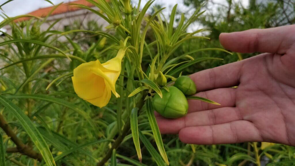 WhatsApp Image 2025 12 01 at 5.09.08 PM