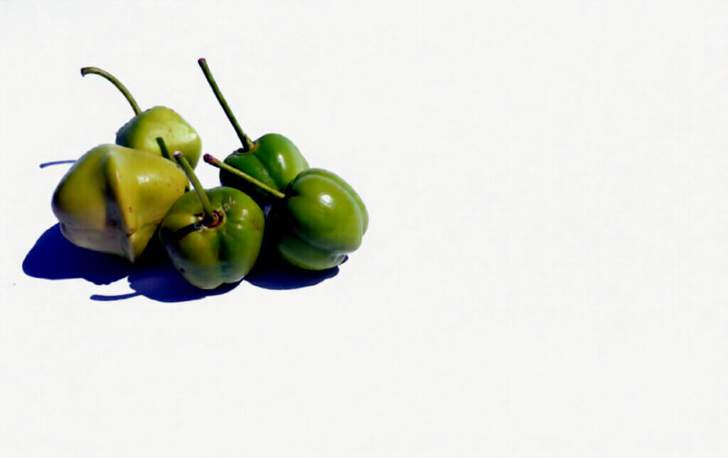 WhatsApp Image 2025 12 01 at 5.09.49 PM 2b5ba998 9d00 408a 870d 2c972a9cb4e9 29e3833b 640b 48c6 9679 b67e1e4fad04