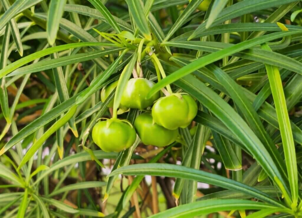 WhatsApp Image 2025 12 01 at 5.14.27 PM