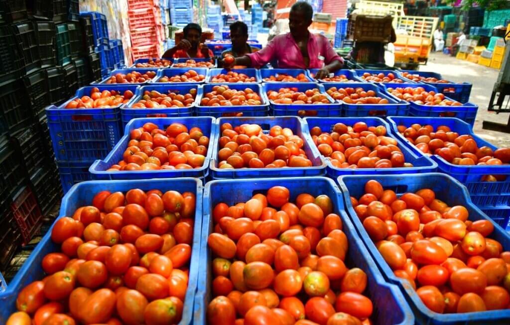 WhatsApp Image 2025 12 02 at 3.13.39 PM