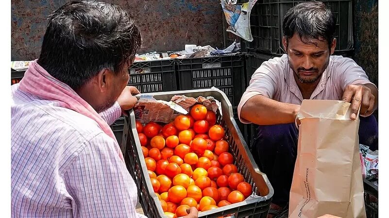 WhatsApp Image 2025 12 02 at 3.15.07 PM