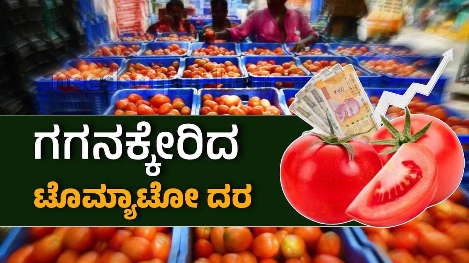 WhatsApp Image 2025 12 02 at 3.22.54 PM