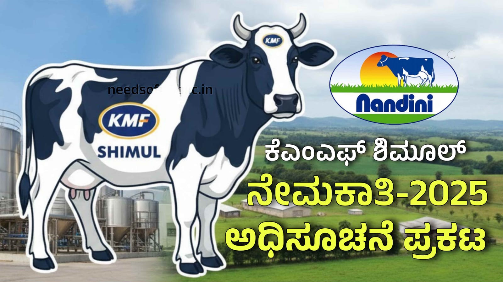 WhatsApp Image 2025 12 05 at 12.50.41 PM