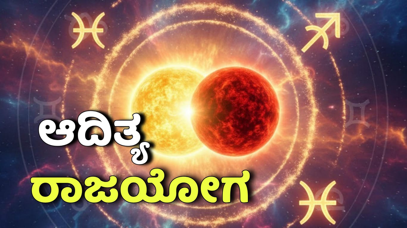 WhatsApp Image 2025 12 09 at 6.50.53 PM