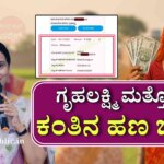 WhatsApp Image 2025 12 10 at 7.31.32 PM