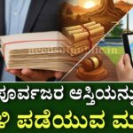 WhatsApp Image 2025 12 11 at 12.05.23 PM