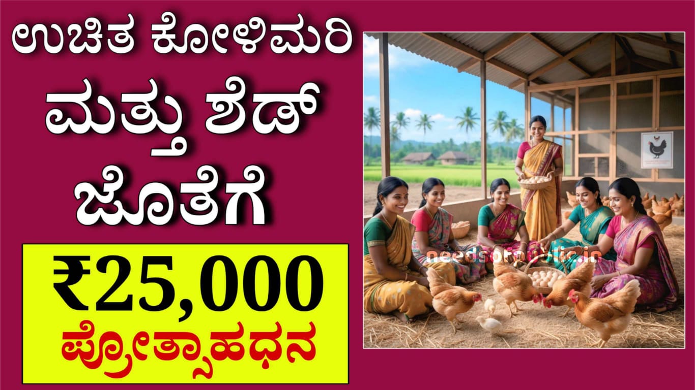 WhatsApp Image 2025 12 11 at 4.29.40 PM