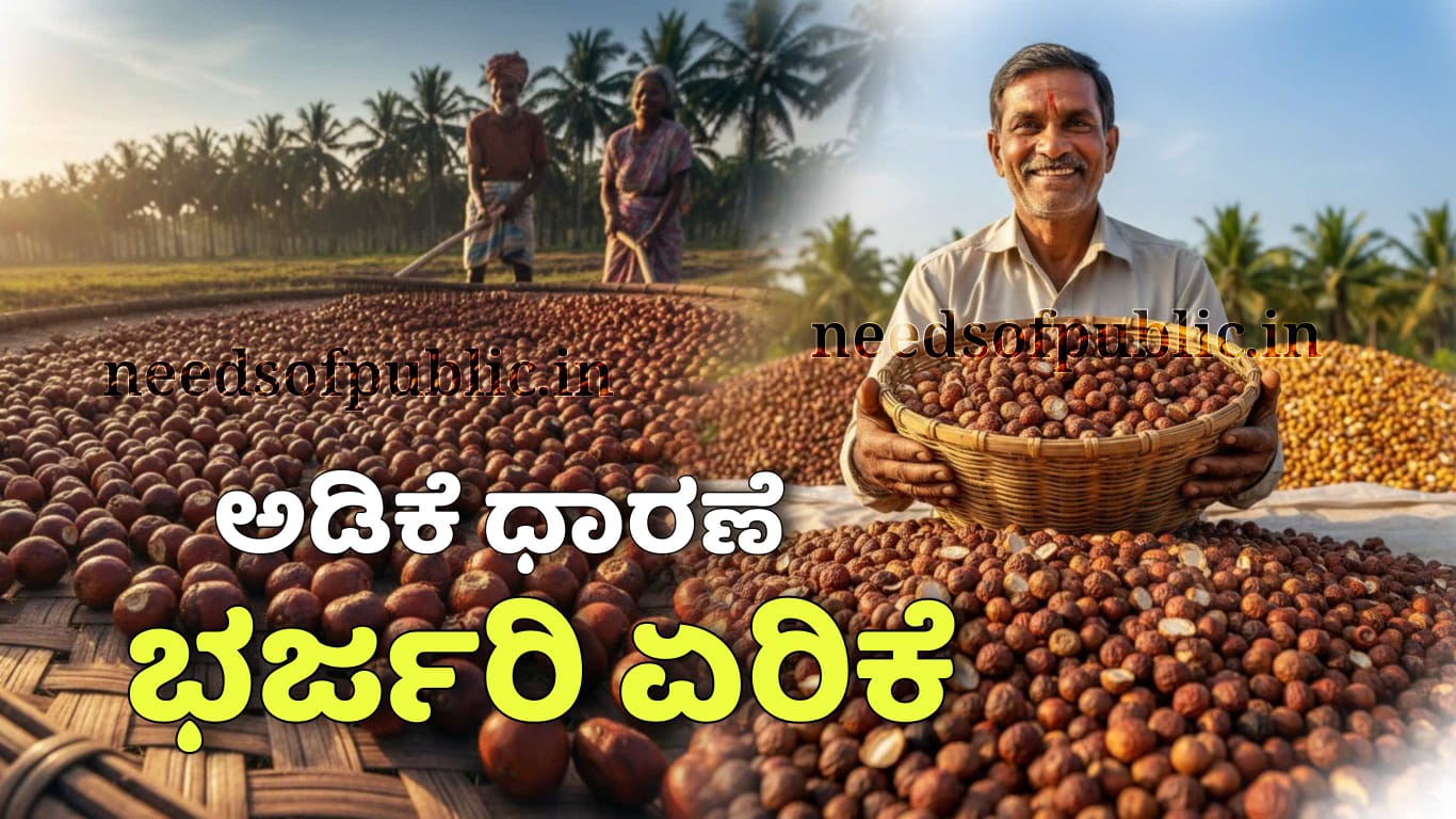 WhatsApp Image 2025 12 11 at 4.50.17 PM