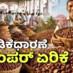 WhatsApp Image 2025 12 12 at 6.38.31 PM