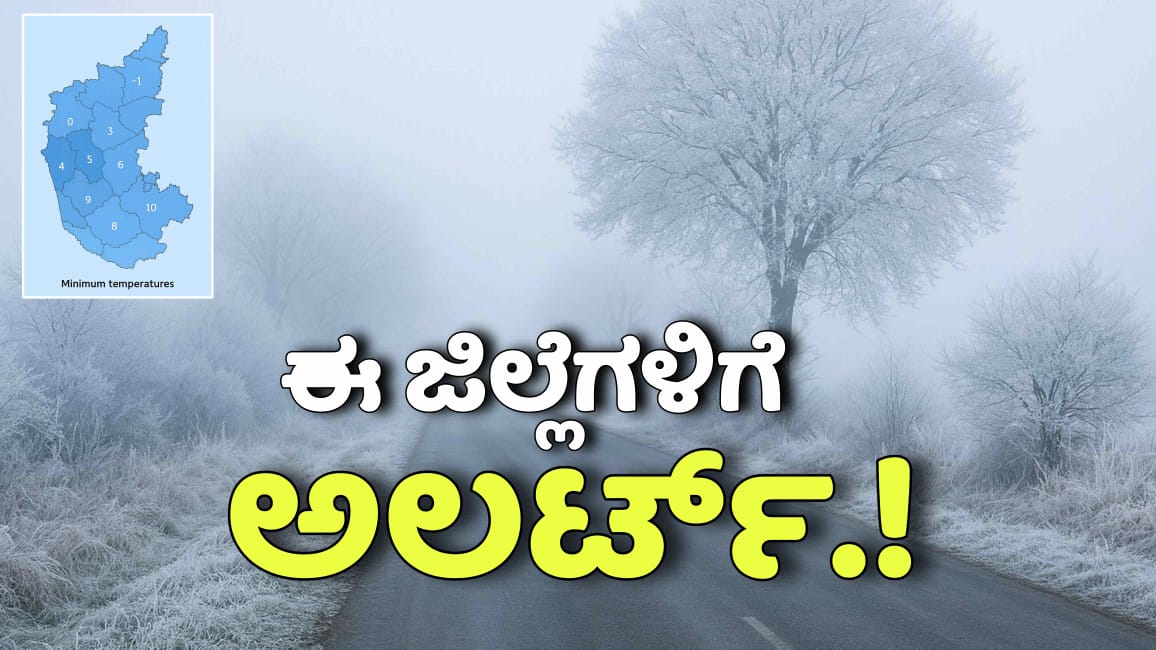 WhatsApp Image 2025 12 13 at 2.04.36 PM