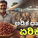 WhatsApp Image 2025 12 17 at 6.18.32 PM