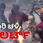 WhatsApp Image 2025 12 17 at 6.41.08 PM