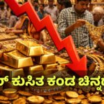 WhatsApp Image 2025 12 19 at 5.48.16 PM