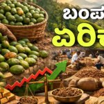 WhatsApp Image 2025 12 19 at 6.22.09 PM