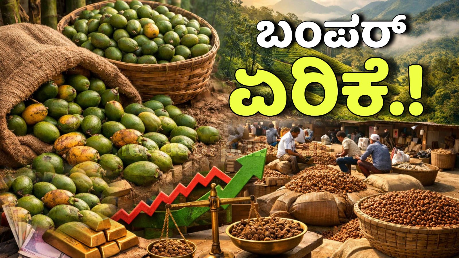 WhatsApp Image 2025 12 19 at 6.22.09 PM