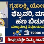 WhatsApp Image 2025 12 23 at 12.15.59 PM 1