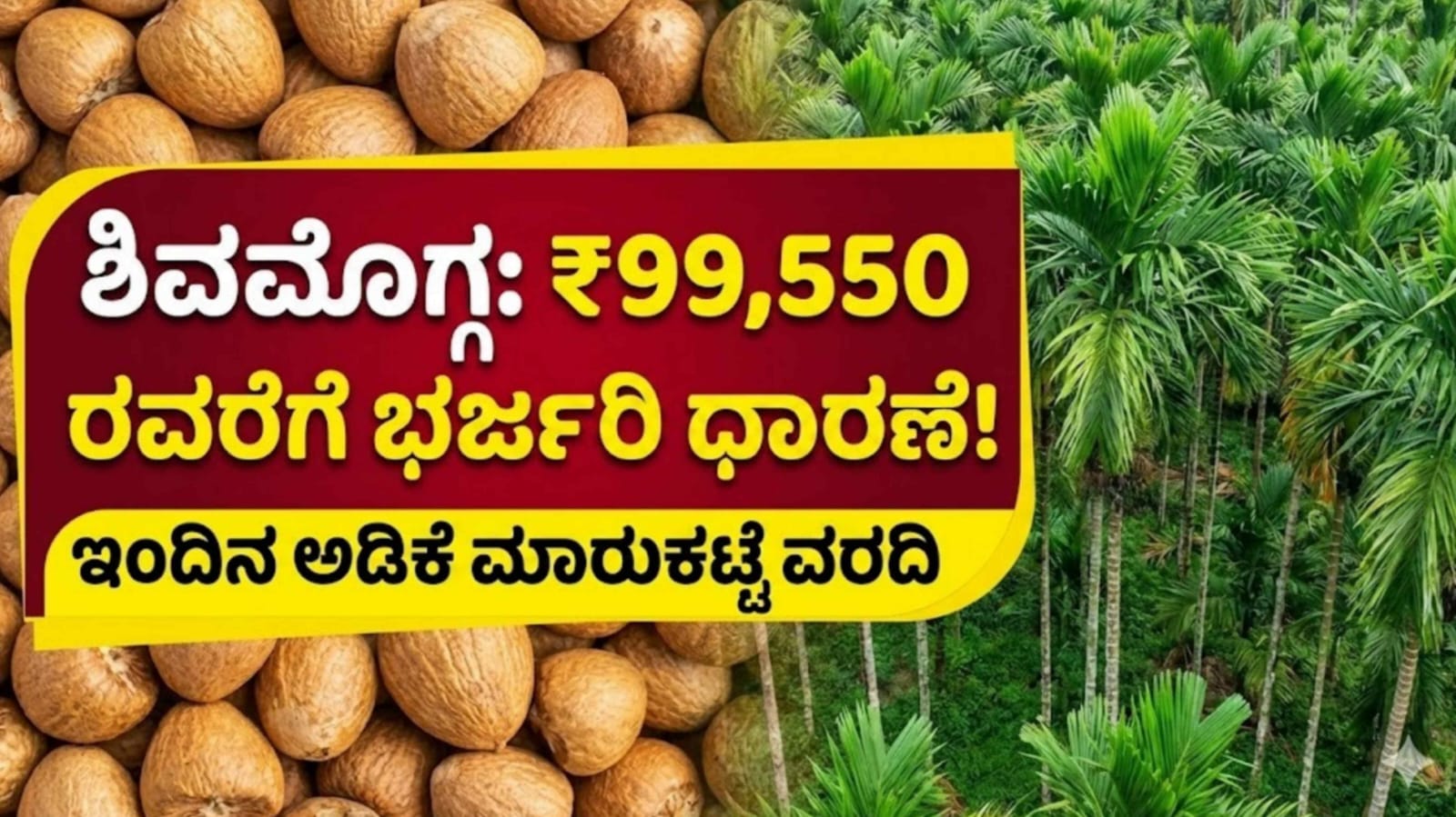 WhatsApp Image 2025 12 23 at 6.44.47 PM